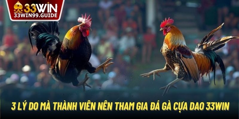 3 lý do mà thành viên nên tham gia đá gà cựa dao 33Win