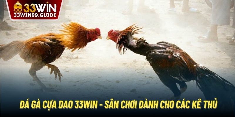 Đá Gà Cựa Dao 33Win - Sân Chơi Dành Cho Các Kê Thủ