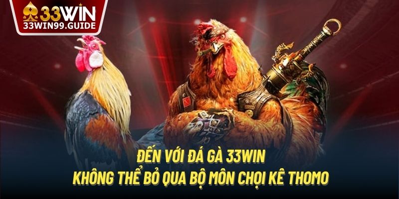 Đến với đá gà 33Win không thể bỏ qua bộ môn chọi kê Thomo