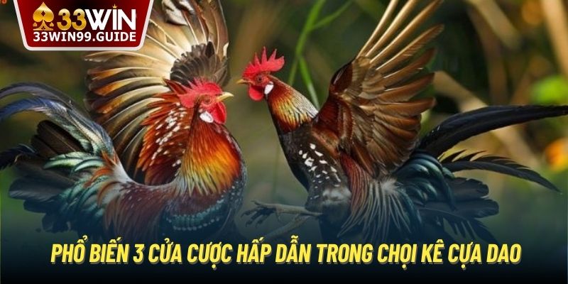 Phổ biến 3 cửa cược hấp dẫn trong chọi kê cựa dao