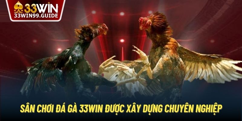 Sân chơi đá gà 33Win được xây dựng chuyên nghiệp